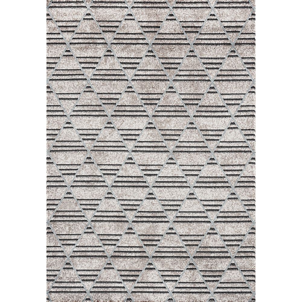 Dynamic Rugs 1156-895 Robin 5.3 Ft. X 7.2 Ft. Rectangle Rug in Taupe/Dark Grey/Light Blue